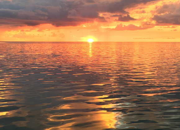 Islamorada Sunset Cruise | Sundance Watersports